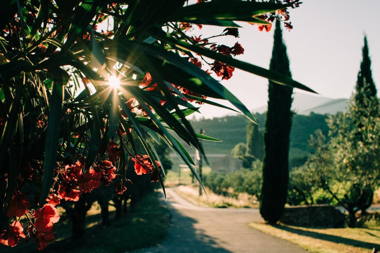 Clos Saint-Michel Resort & Spa Malaucene Ngoại thất bức ảnh